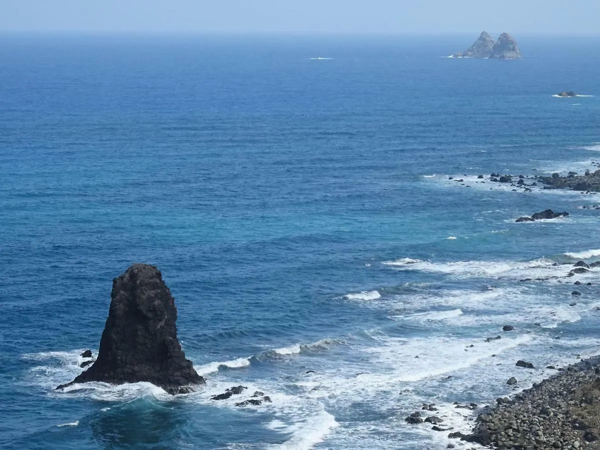 滨海帕尔姆Orion公寓 0*, 滨海帕尔姆